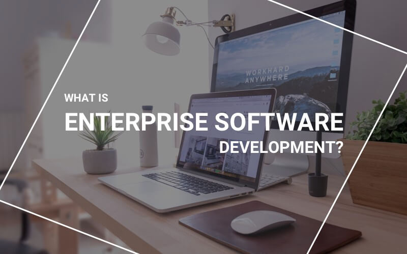 Empowering Business Growth with Enterprise Software Development